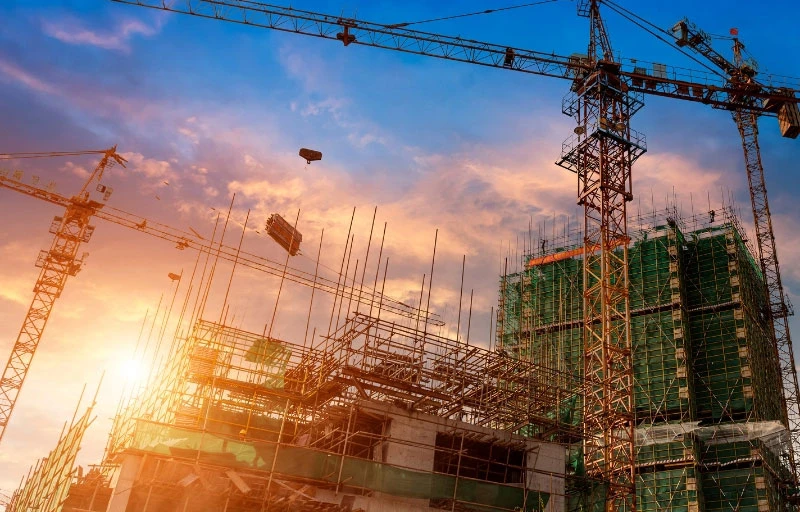 Dự báo và quy hoạch phát triển